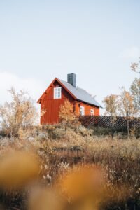 Trees and Bushes around Wooden House